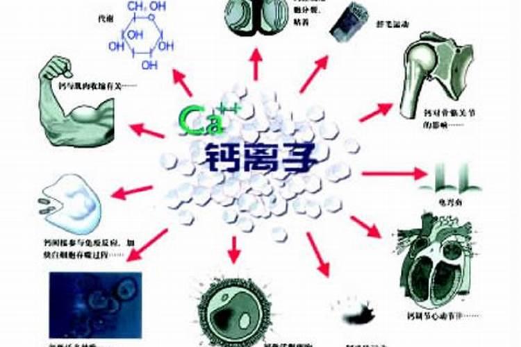 苹果树秋季那种施肥配方最科学效果好