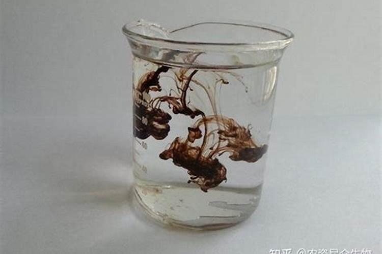 秋季如何为花木进行施肥？