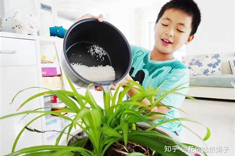 氮肥施用方法及注意事项