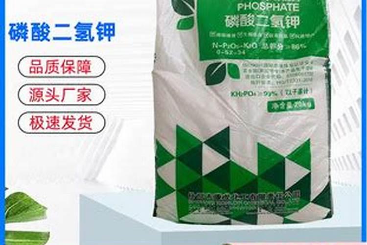 第一年种的果树苗期施什么肥