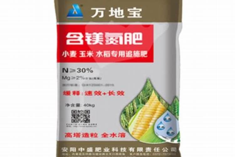氮肥是什么肥