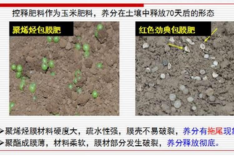 水稻硼肥的作用及使用方法
