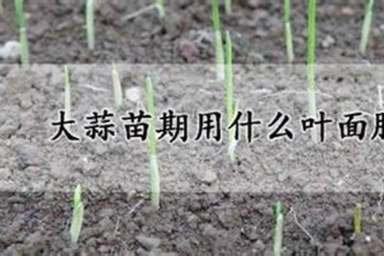 硝酸钾可以做肥料吗
