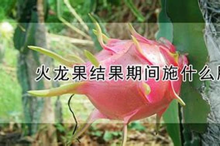能用来医疗手术 制作肥料 粮食瓜果的保护气 灯泡内充气的是什么气百...