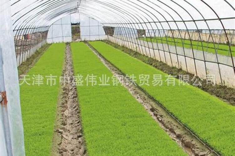劲驼复合肥80斤价格