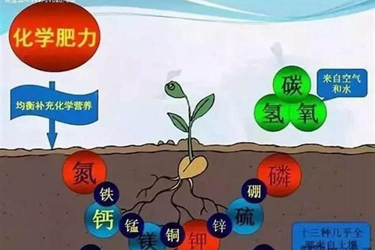 磷酸一铵和磷酸二氢钾怎么配才能得到三个20的平衡肥？