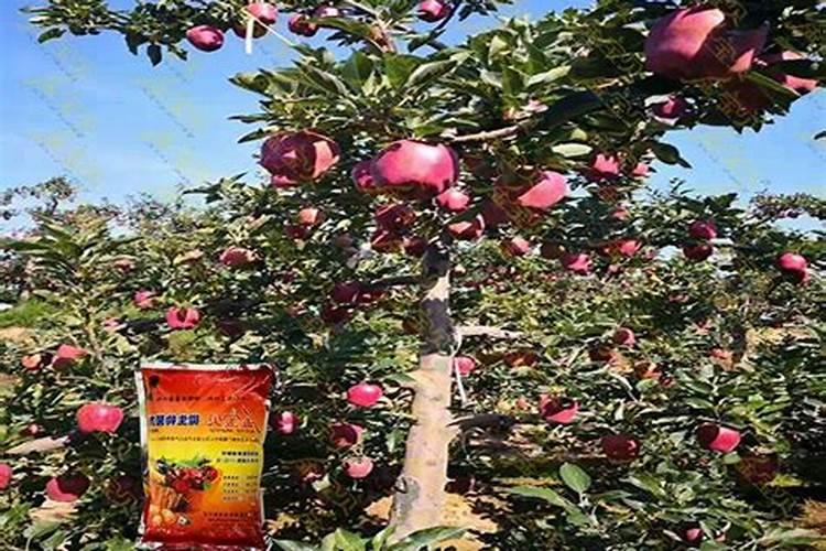 葡萄树看见花穗时能施农家肥吗？