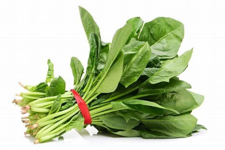 大白菜冲施什么肥料好