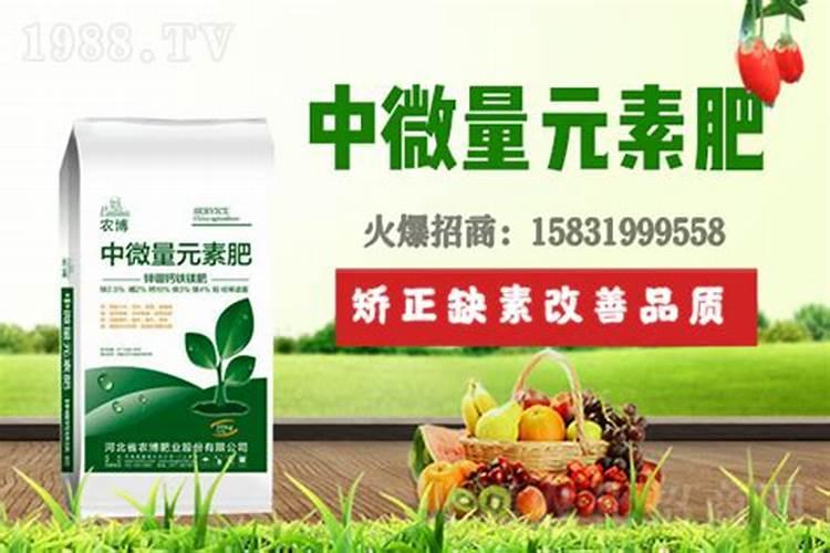 植物微量元素营养液如何配制？？