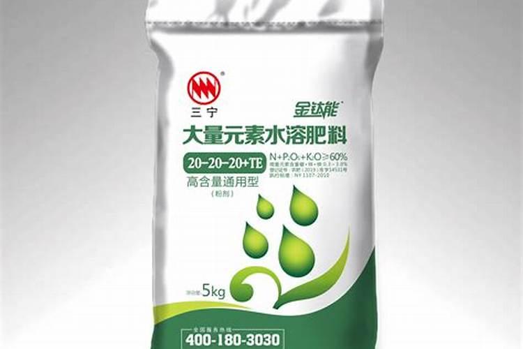 草莓浇水的正确方法