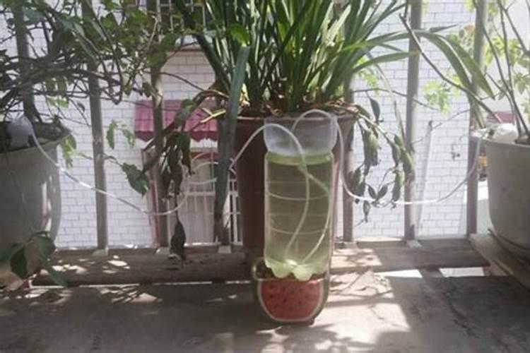 磷肥可以兑水浇吗