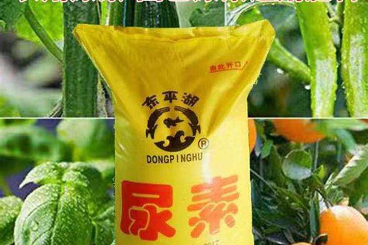 番茄苗期喷施复硝酚钾多大浓度合适？