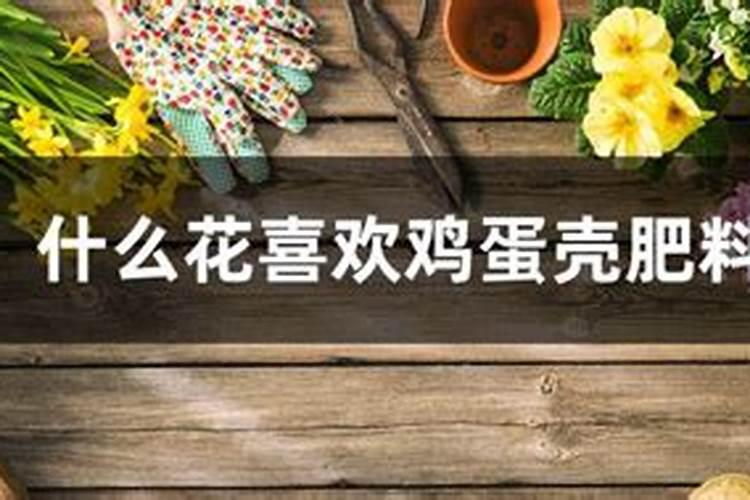 辣椒肥害怎么补救