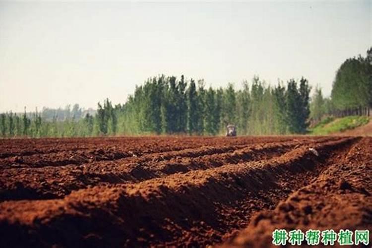 如何提高氮肥磷肥钾肥的利用率