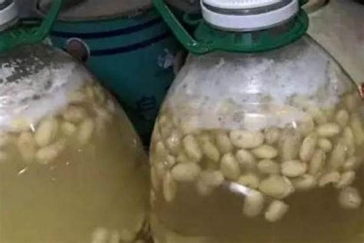 豆渣与豆饼沤肥有什么不同