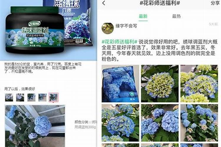 绣球花怎么调色