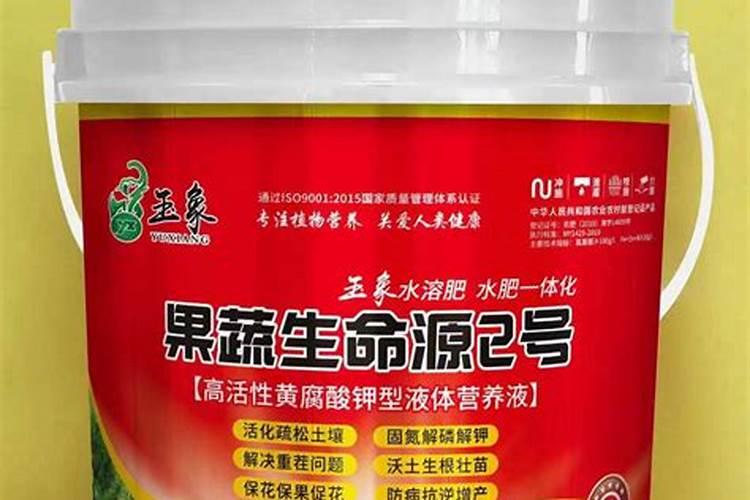 柚子树如何管理