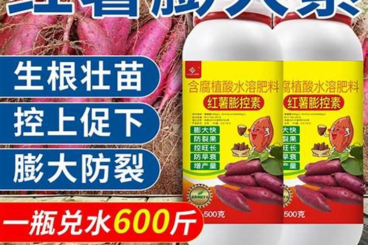 一般黄龙病中期要用什么药
