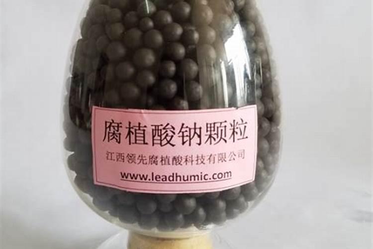 江西新建区有哪些不可错过的特产美食？