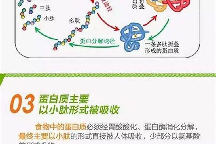 女人25岁开始服用胶原蛋白很好嘛？多肽的好还是寡肽的好呢？