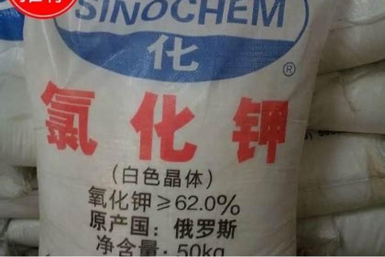茶树冬季怎么施肥