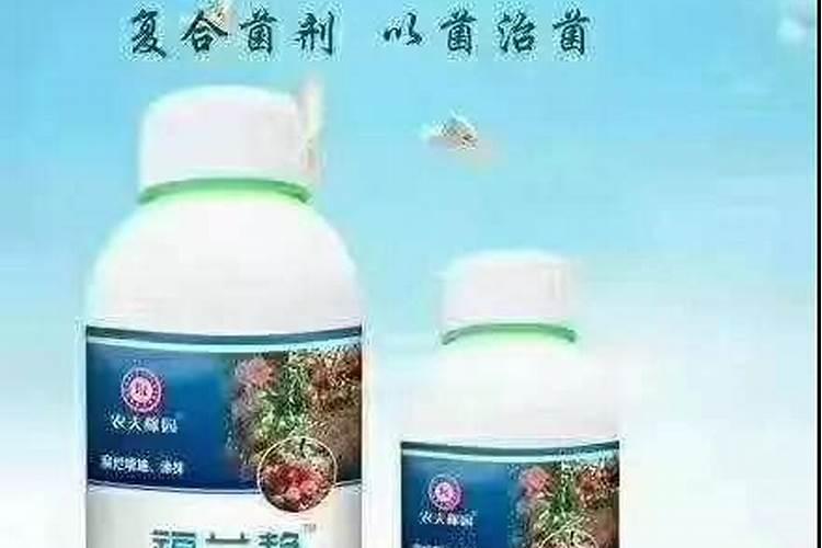 黄瓜蔓枯病,怎么治疗