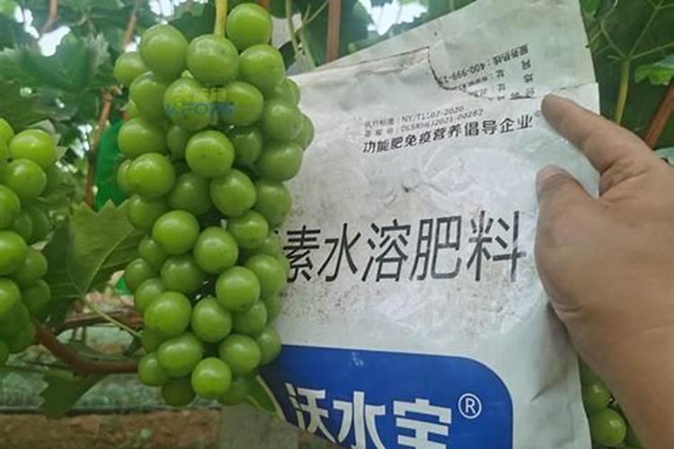 大量元素水溶肥怎么施用