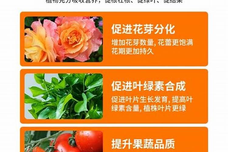 种菜用尿素还是复合肥