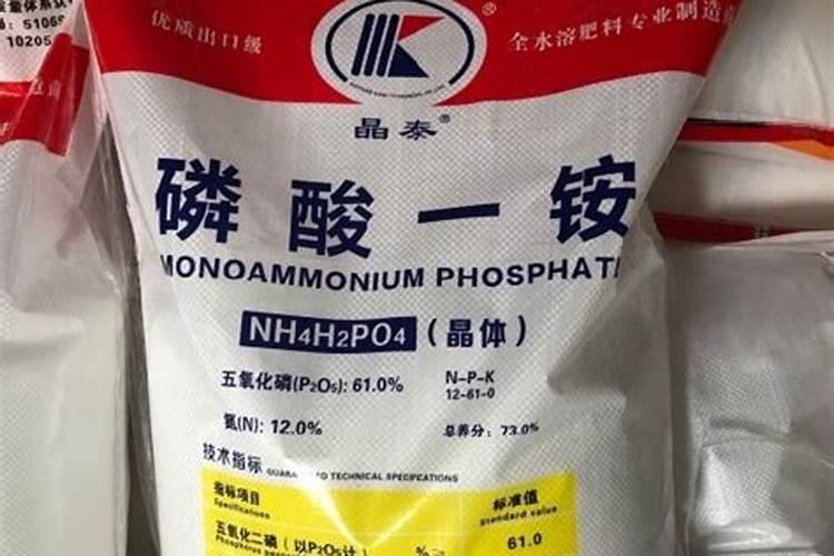 种花生用什么肥料好？
