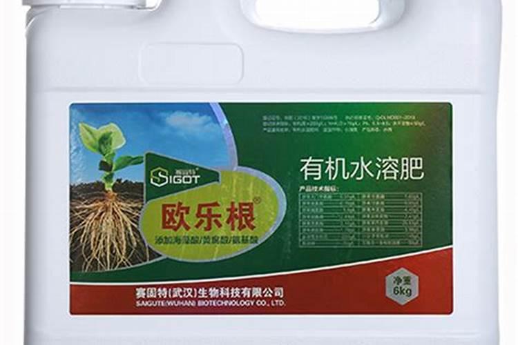 番石榴施什么肥更甜爽 想要番石榴甜爽要施什么肥