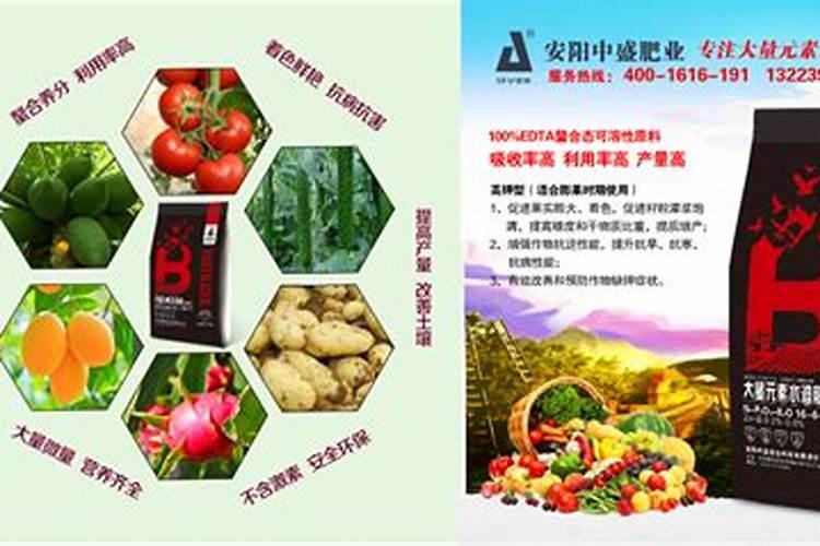 有花苞的月季能施肥吗