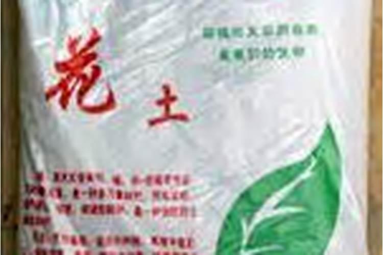 草莓开花前期用什么肥