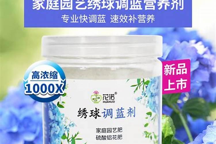 中华木绣球新叶子卷叶怎么回事啊