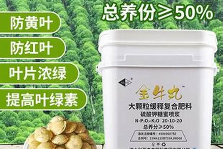 请问花椒树的施肥关键和流胶病的综合防治