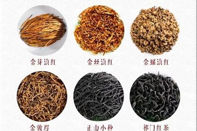 玉米用什么肥料好
