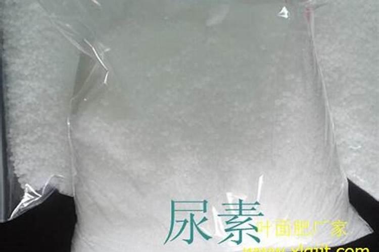 豆饼液做叶面肥可以吗？发酵好的豆饼水可以当叶面肥