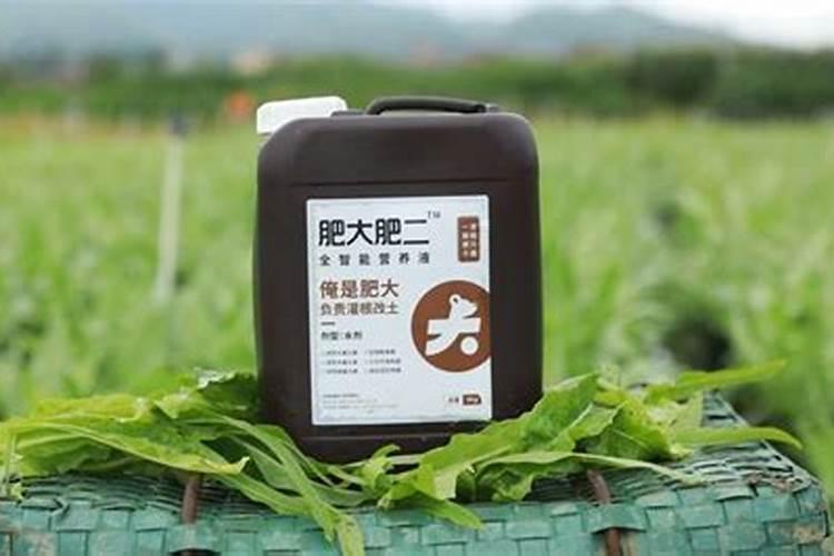 苹果树补钙的叶面肥有哪些