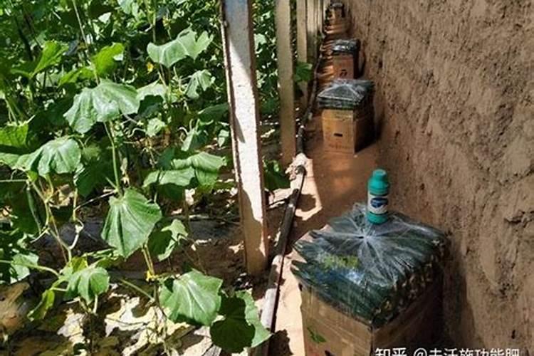 富粒美穗叶面肥对完水放一天一夜还能用吗？