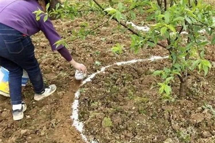 植物营养液培水保存几天植物营养？