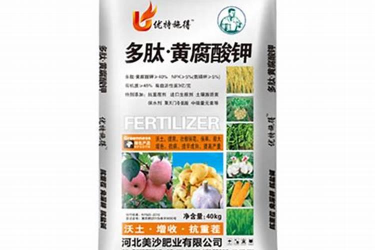 怎么减少草莓烂根死棵,有什么办法？