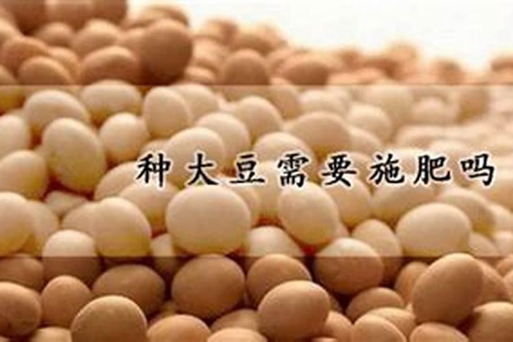 大豆施肥氮磷钾比例 怎么施肥更合理