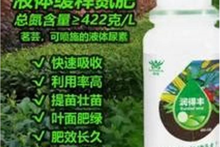 常见的氮肥有哪些
