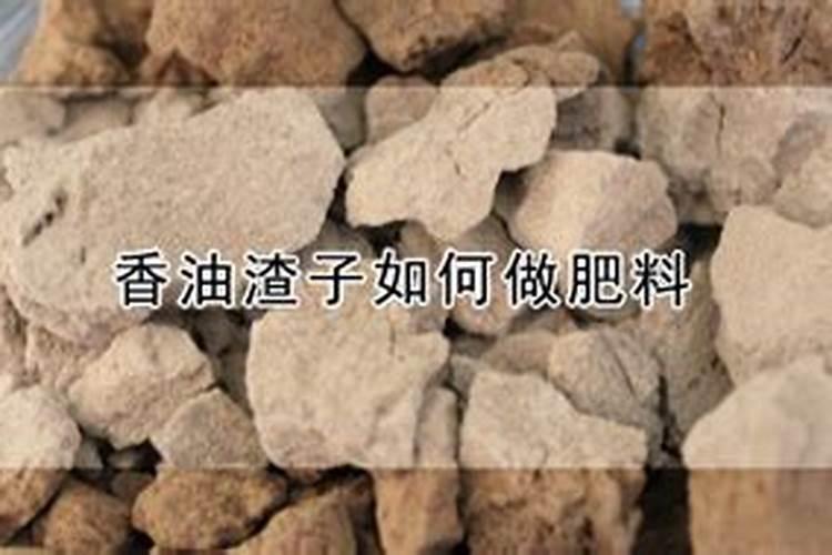 用香油饼给花草做肥料的用法