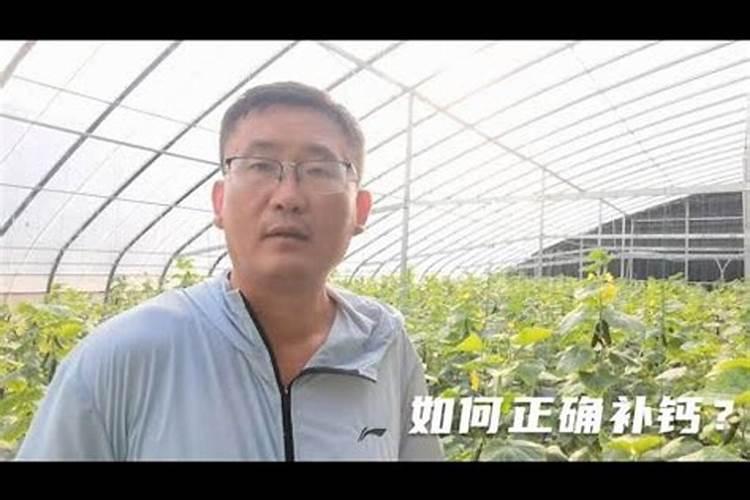 硫酸钙可以做肥料吗 怎么施合适