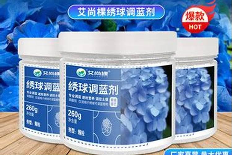绣球调蓝色的常用方法及用量(绣球花调颜色蓝色最佳方法)