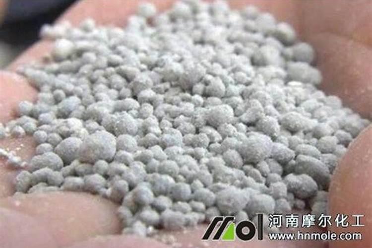 钾肥促进植物什么生长