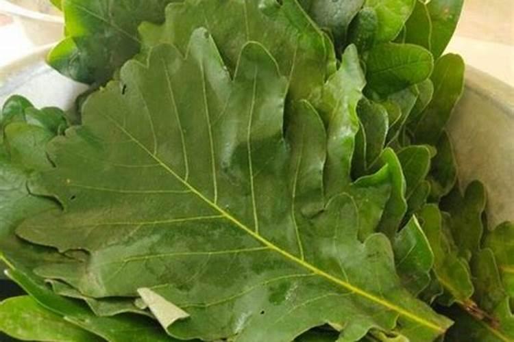 百香果挂果期施什么肥(百香果开花结果了要施什么肥)