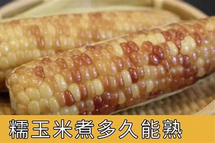玉米后期追什么肥料好