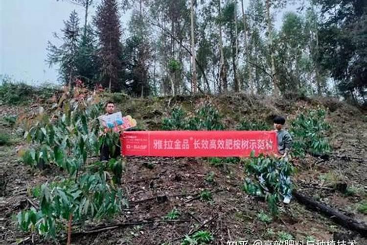 加分贴: 求助:哪位师傅能指点下我的八字适合做什么职业: 丁卯年 癸卯...