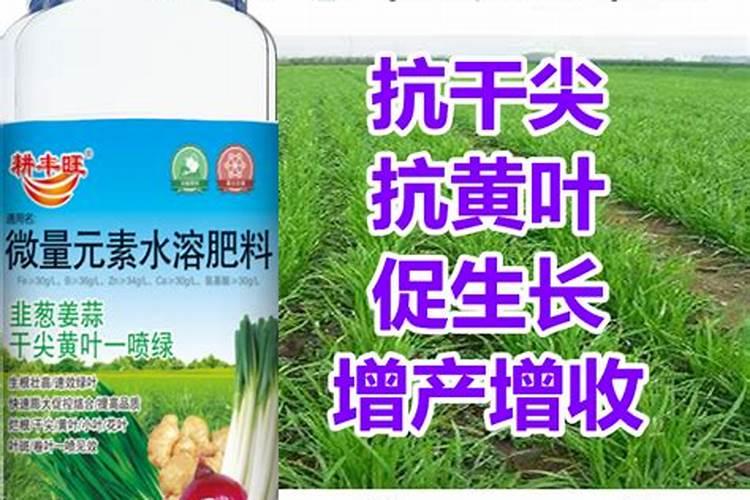 玉米最后追肥最佳时候